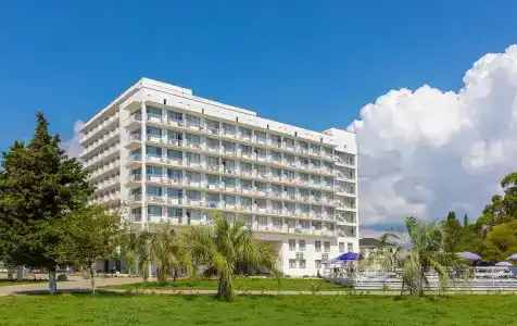 Апсны - 8