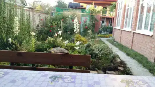 В гостях у Любви - 0