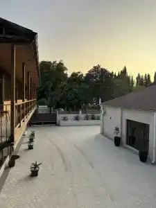 Магнолия - 6
