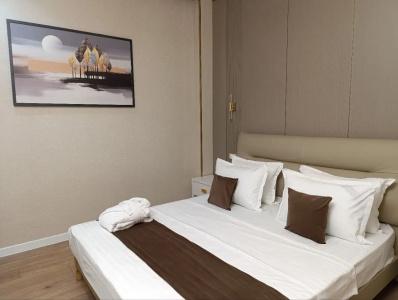 Art Regency Premium Free Airport Service - 5