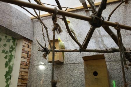 Komitas Avenue Guest House - 14