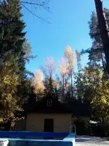 Жуков Луг - 2
