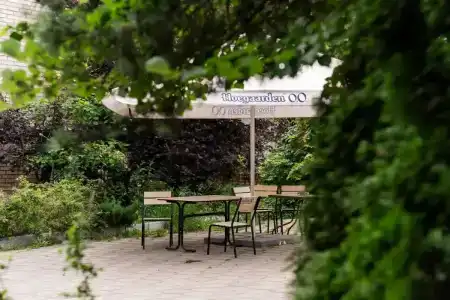 Ателика Улиткино - 15