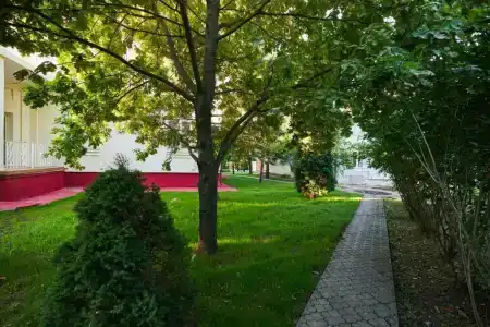 Бачурино Деревня 254 - 6