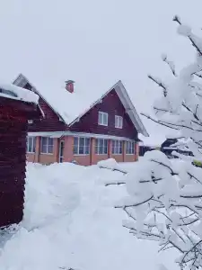 Терн-виладже - 67