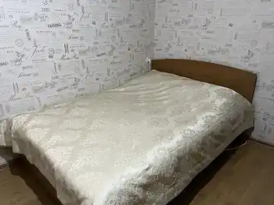 Алиса - 17