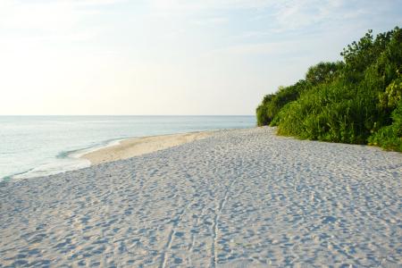 Beach Residence - 11