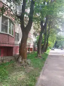 Трехуровневая квартира у Верхнего озера. - 15