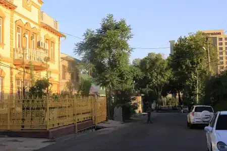 Йети - 11