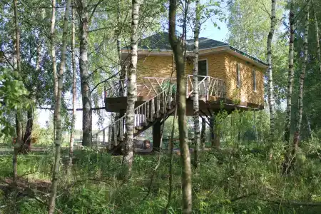 Дом на Дереве - 120