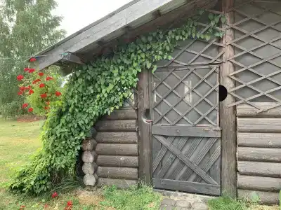 Деревянный дом в Дракино 199 - 1