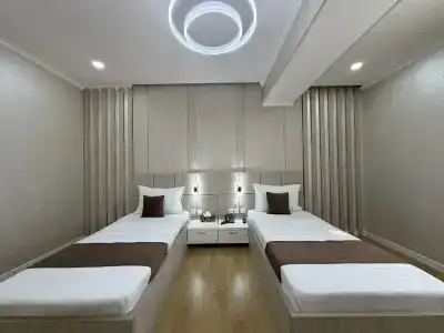 Art Regency Premium Free Airport Service - 40