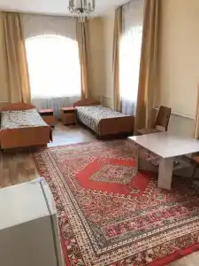 Визит - 43