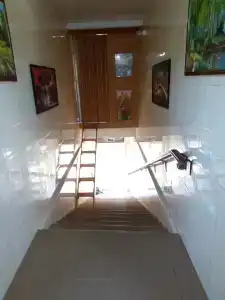 Андрей - 5