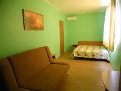 Вега - 21