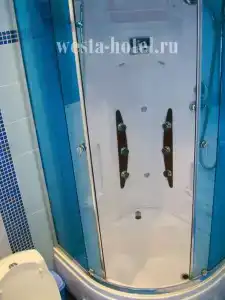 Веста - 5