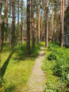 Зеленый луг - 13