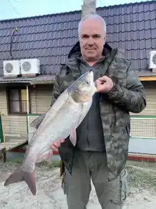 Грэй Гусь - 18