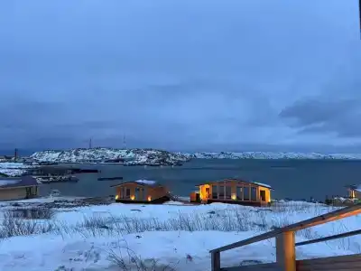 Cedar Grass Териберка - 174