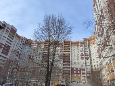 Ягодинская 25 - 7