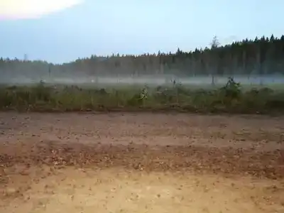 Лось - 45