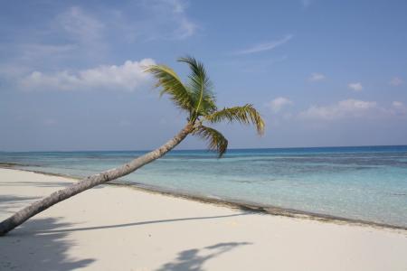 Boutique Beach All Inclusive Diving - 29