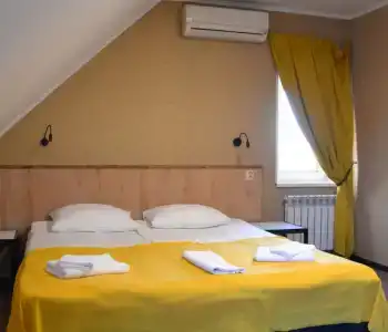 Три кота - 155