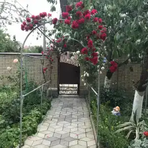 Центральная 14 - 9