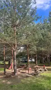 Грибная Находка - 1