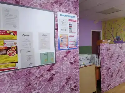 Спутник - 12