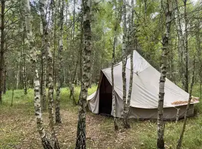 Звездный лес - 74