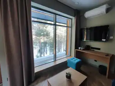 Зеленый Бор - 5