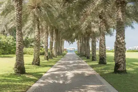 Coral Beach Resort Sharjah - 6
