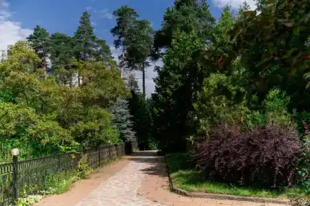 Ателика Улиткино - 16