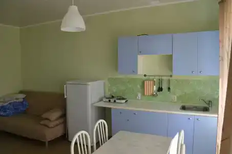 Светлана - 110