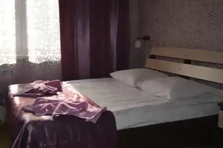 Брусника - 18