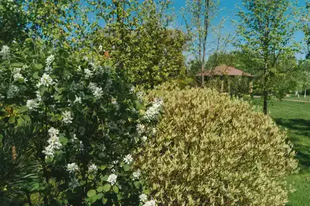 АлександрЪ - 15