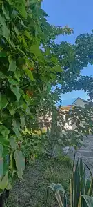 Садовый Двор - 19