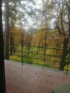 Звездный - 4