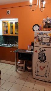 Zebra Hostel - 11