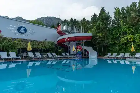 Grand Viking - 1