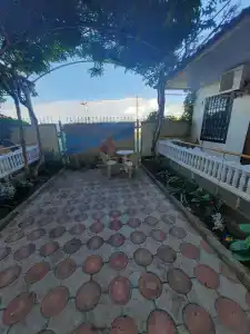 Глициния - 2