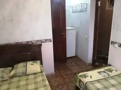 Виолетта - 22
