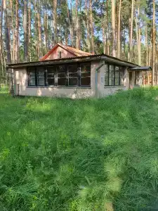Зеленый луг - 4