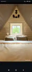Три лисы - 39