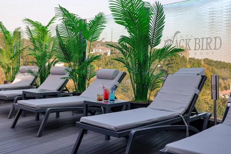 Black Bird Thermal & Spa - 40