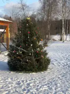 Жуковка Village дом с камином - 108
