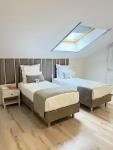 Le Petit Palace - Special Category - 29