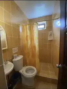 Флора - 18