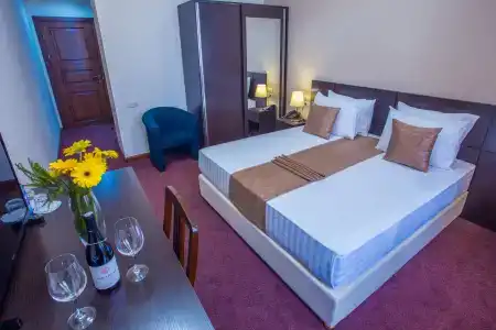 Ani Central Inn - 59